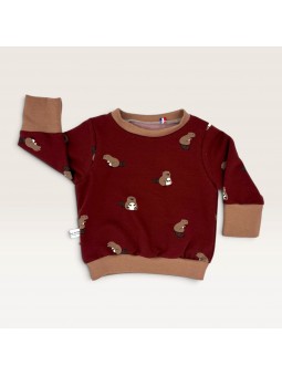 Pull évolutif bébé et...
