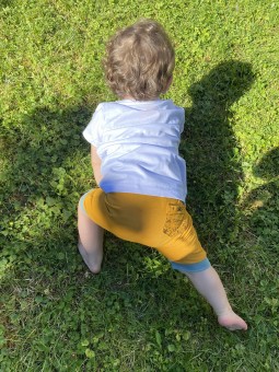 Short évolutif X Californie...